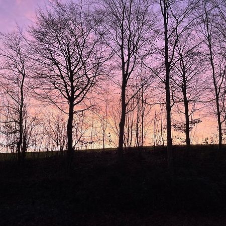 La Canopee Des Arbres, Anna Ellezelles Bagian luar foto