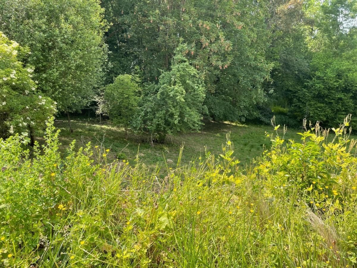 La Canopee Des Arbres, Anna Ellezelles Bagian luar foto