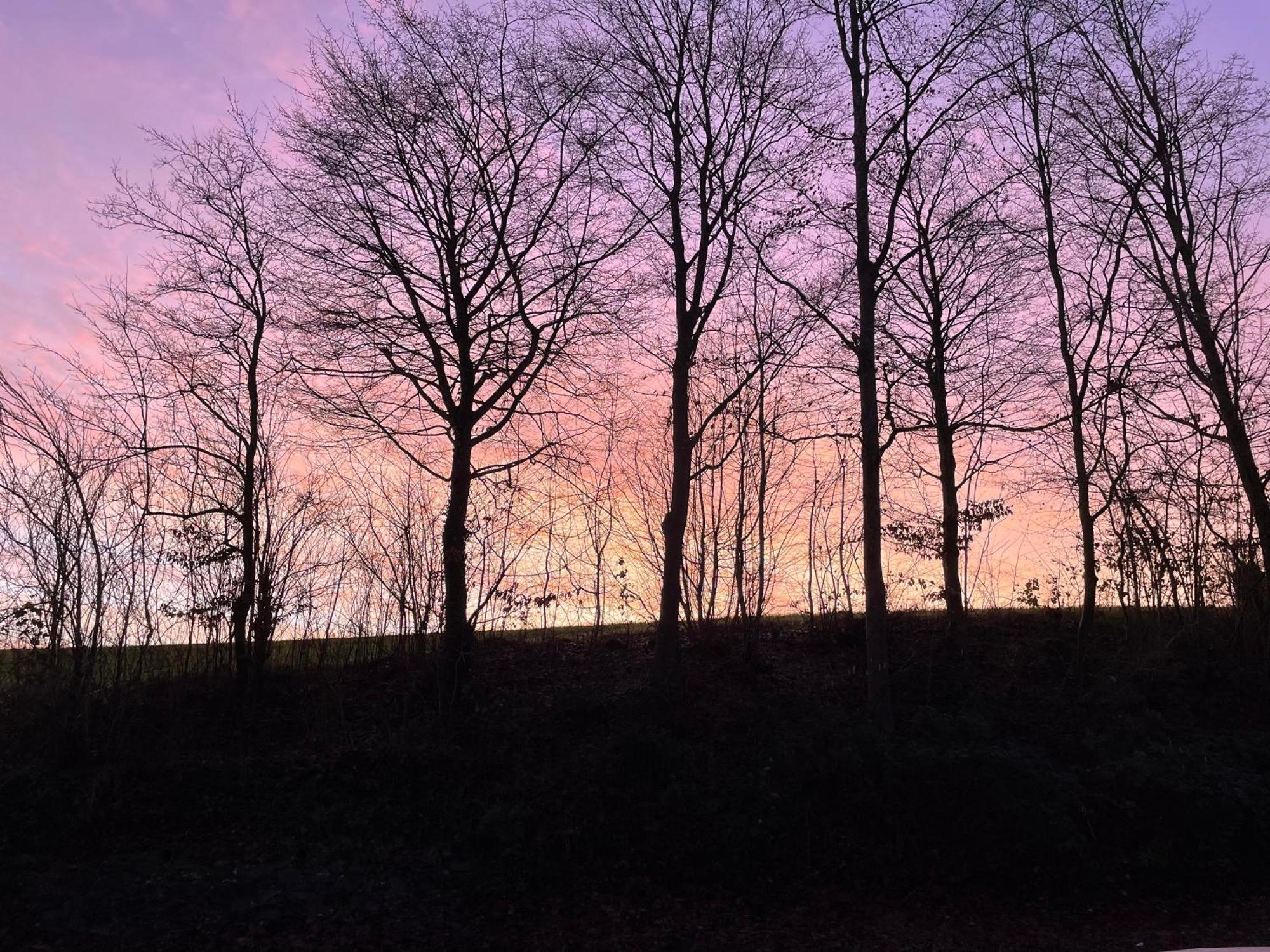 La Canopee Des Arbres, Anna Ellezelles Bagian luar foto